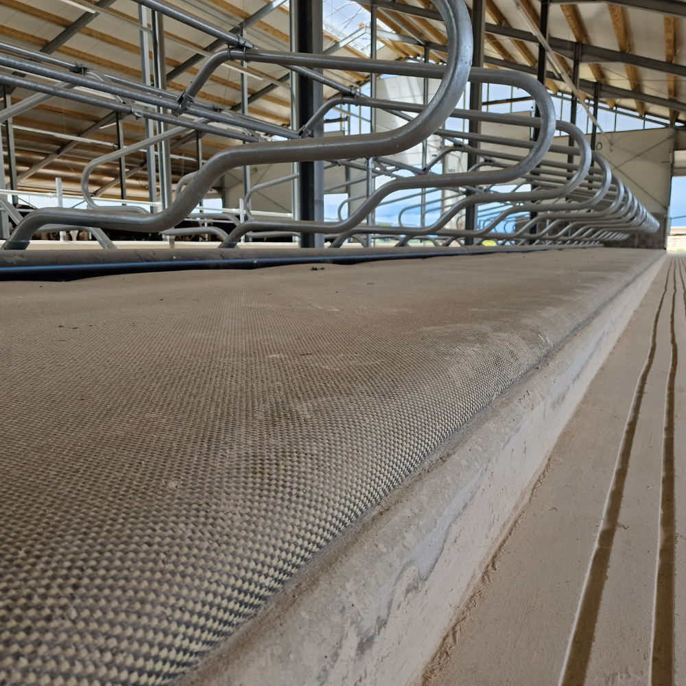 Guļvietu matracis Strong